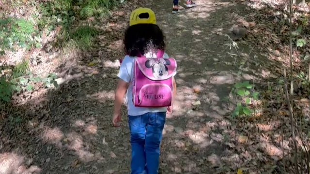 Waldtag Steinbruchwiese