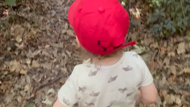 Waldtag im Dehnepark mit der Kleinkindergruppe